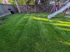 Lawn Mowing in Fort McMurray: The Exact Schedule and Height for Our Climate