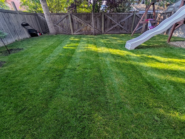 Perfect lawn mowing height for your grass in Fort McMurray