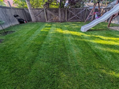 Weed Control in Fort McMurray - Weed Free Lawns