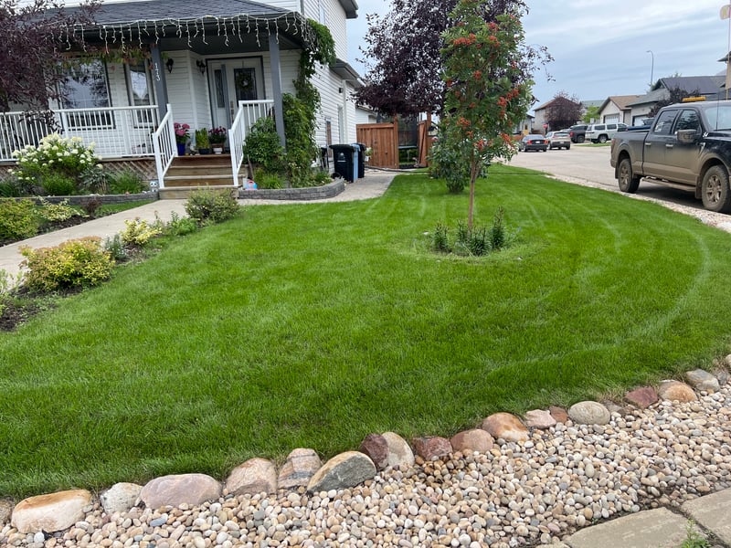 Should I Bag My Grass Clippings in Fort McMurray or Leave Them? (Local Lawn Care Guide)