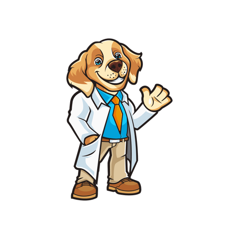 Aeration and Dog Damage: How to Fix Compacted, Patchy Lawns in Fort McMurray