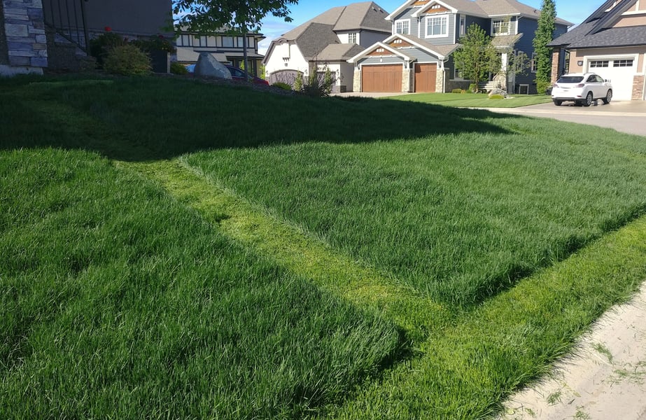 Why Mowing Height Matters for Your Lawn in Fort McMurray