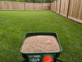 What to Do After Aeration in Fort McMurray: Mowing, Watering, and Overseeding Guide