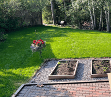 How Do I Get Rid of Dandelions in My Lawn in Fort McMurray?