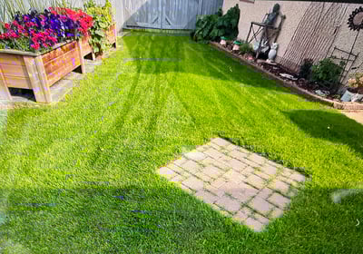 Ejoy your backyard in Fort McMurray without Mosquitos