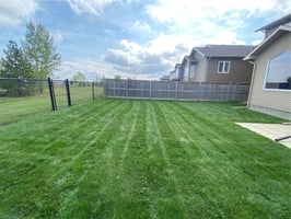 Do I Need to Aerate My Lawn in Fort McMurray? Signs Your Yard Is Compacted