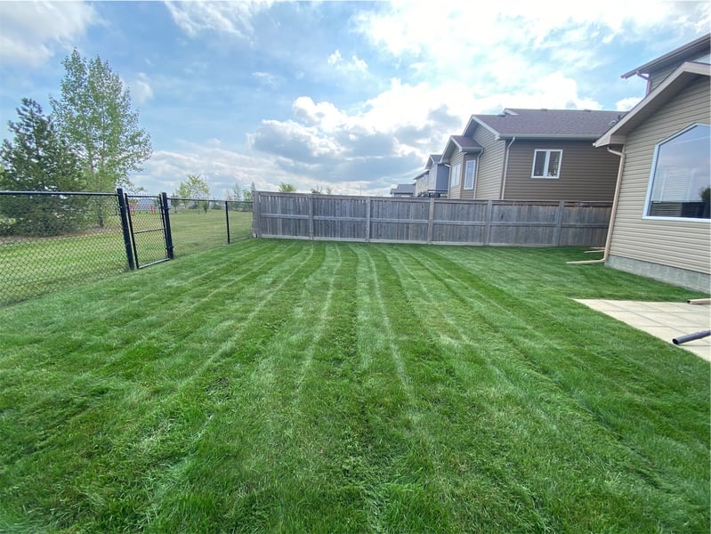 Do I Need to Aerate My Lawn in Fort McMurray? Signs Your Yard Is Compacted