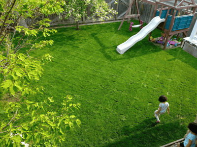 Fertilizer in Fort McMurray - Thick, Lush Lawns