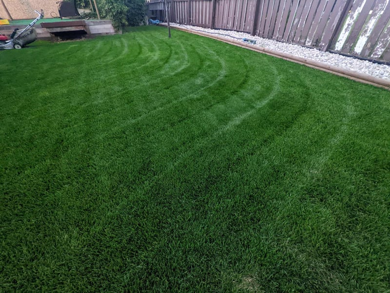 The Importance of Regular Lawn Mowing: Keeping Your Grass Healthy
