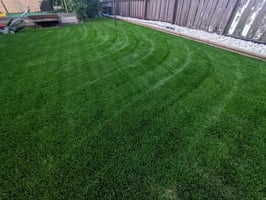 The Importance of Regular Lawn Mowing: Keeping Your Grass Healthy